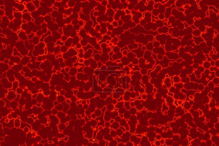 Foto de Forma de la célula bacteriana: cocos, bacilos, fondo de bacterias de la espirilla - Imagen libre de derechos
