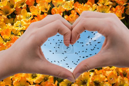 Photo for Flock of birds are seen behind a heart shaped hand - Royalty Free Image