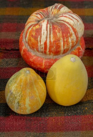 Foto de Una calabaza naranja y dos pequeñas calabazas amarillas en exhibición - Imagen libre de derechos