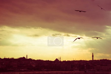 Téléchargez les photos : Mouettes volant dans le ciel à Istanbul en Turquie - en image libre de droit