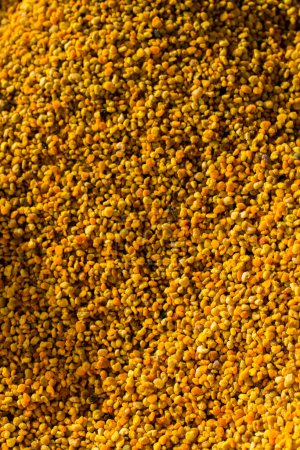 Photo for Bee pollen as healthy organic raw diet food ingredient - Royalty Free Image