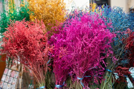 gefärbte trockene bunte Blume für Doktoranden
