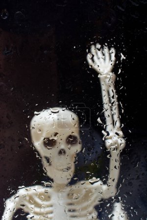 Foto de Modelo de esqueleto humano para la ciencia de la anatomía médica Concepto de clínica médica. - Imagen libre de derechos