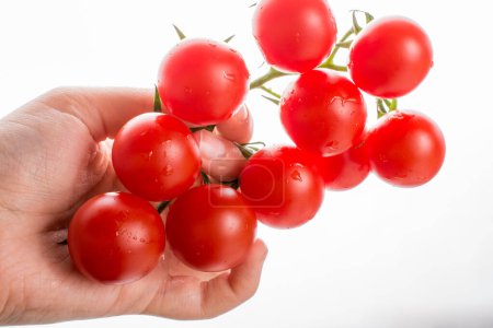 Foto de Manojo de tomates rojos maduros sabrosos cereza en la mano - Imagen libre de derechos