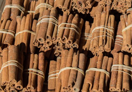 Photo for Bundles of Cinnamon sticks in stock - Royalty Free Image