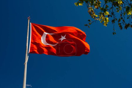Foto de Bandera nacional turca con estrella blanca y luna en un poste en el cielo - Imagen libre de derechos