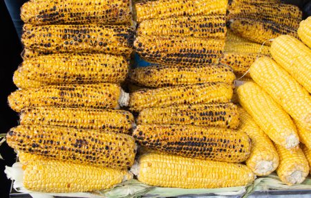 Téléchargez les photos : Maïs grillés sur les épis pelés - en image libre de droit