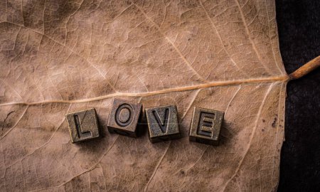 Foto de La palabra amor colocada en hoja seca como concepto de amor - Imagen libre de derechos