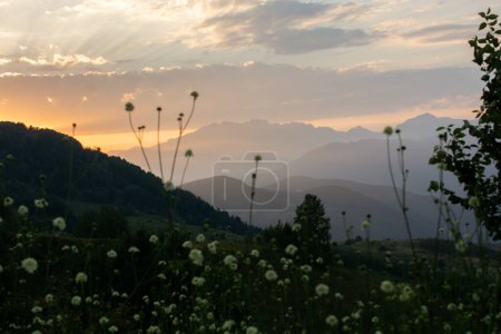 Téléchargez les photos : Coucher de soleil dans un paysage montagneux. Paysage des prairies et des montagnes. - en image libre de droit