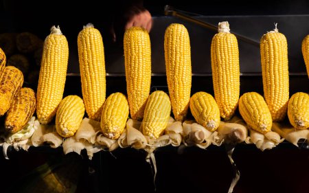 Téléchargez les photos : Beaucoup de maïs pelés frais biologiques comme fond alimentaire - en image libre de droit