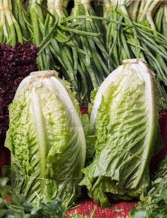 Photo for 2 lettuces on sale on a Turkish street bazaar - Royalty Free Image