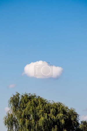 Téléchargez les photos : Nuages de couleur blanche couvrent le ciel bleu dans la journée - en image libre de droit