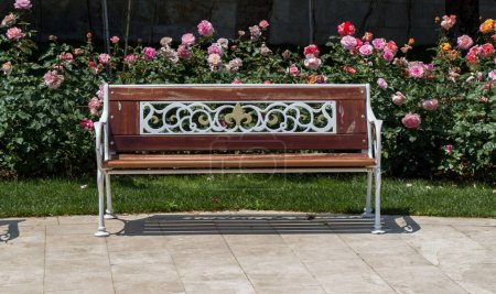 Photo for Wooden bench found in the middle of rose garden - Royalty Free Image