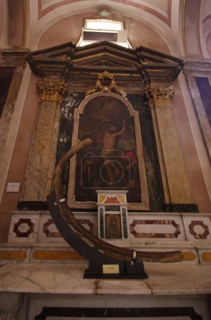 Téléchargez les photos : Rib of the dragon preserved in a case inside the Church of San Leucio - Atessa, Abruzzo, Italy - en image libre de droit