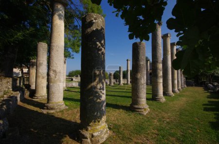 Archäologische Stätte von Altilia: Säulenreste, die darauf hindeuten, wo die Basilika einst stand. Sepino, Molise, Italien