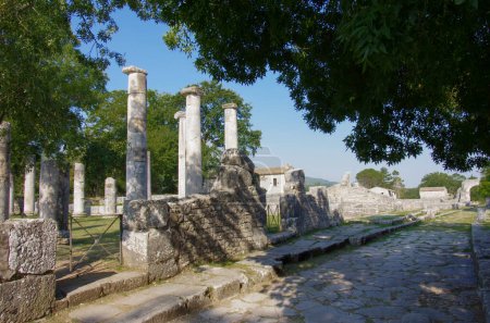  Archäologische Stätte von Altilia: Das Pflaster einer römischen Straße und Reste von Säulen, die darauf hinweisen, wo die Basilika einst stand. Sepino, Molise, Italien