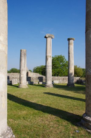 Archaeological site of Altilia: remains of columns indicating where the Basilica once stood. Sepino, Molise, Italy