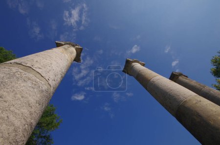 Des restes de colonnes de l'époque romaine se détachent contre le ciel bleu. Molise, Italie