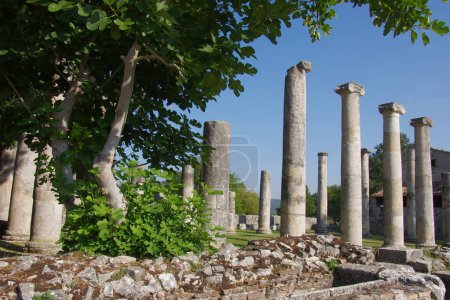 Site archéologique d'Altilia : vestiges de colonnes indiquant où se trouvait autrefois la basilique. Sepino, Molise, Italie