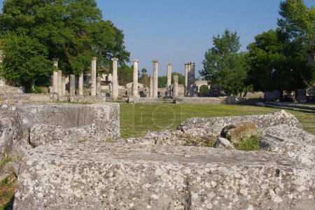 Sepino - Molise - Italia - Sitio arqueológico de Altilia: En primer plano restos de muros ciclopeos y en el fondo la columnata de la Basílica
