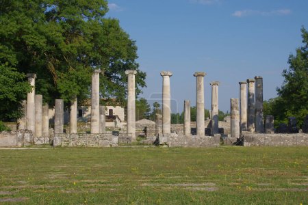 Site archéologique d'Altilia : vestiges de colonnes indiquant où se trouvait autrefois la basilique. Sepino, Molise, Italie