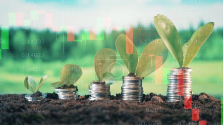 Photo for Coins with plants and live stock charts on a multilayered screen. 4K - Royalty Free Image