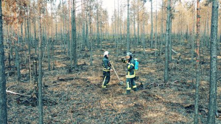 Foto de Los bomberos están discutiendo direcciones en la zona de incendios forestales. 4K - Imagen libre de derechos