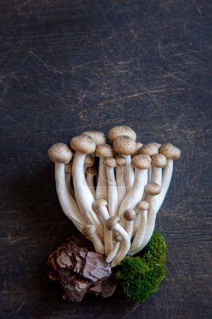 Téléchargez les photos : Cluster de champignons shimeji frais bruns de près. champignons shimeji sur fond bois. - en image libre de droit