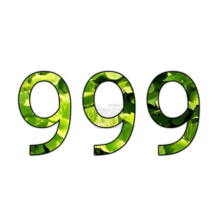 Designnummer 999 mit Blattstruktur auf isoliertem weißem Hintergrund