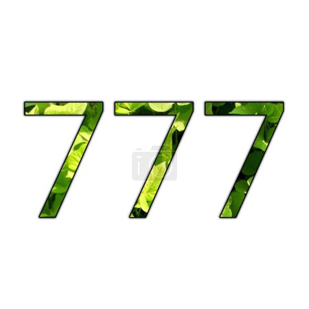 Designnummer 777 mit Blattstruktur auf isoliertem weißen Hintergrund