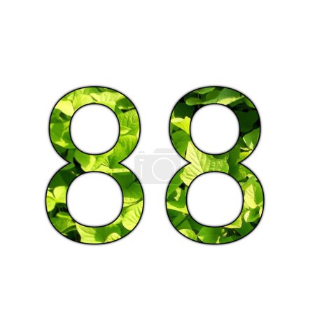 Design number 88 with leaf texture on isolated white background