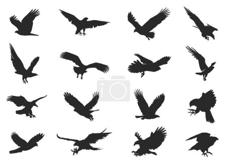 Foto de Ilustración con siluetas de águila sobre fondo blanco - Imagen libre de derechos
