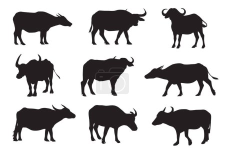 set of vector silhouettes of different types of buffalo