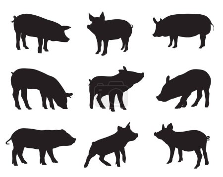 Foto de Siluetas de granja de cerdo conjunto en estilo plano. ilustración vectorial - Imagen libre de derechos