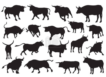 Foto de Conjunto de siluetas vectoriales de diferentes tipos de toros - Imagen libre de derechos