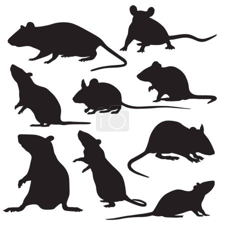 Foto de Vector conjunto de siluetas negras de ratón, ratones - Imagen libre de derechos