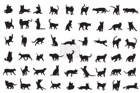 set of different cat animals silhouettes on white background