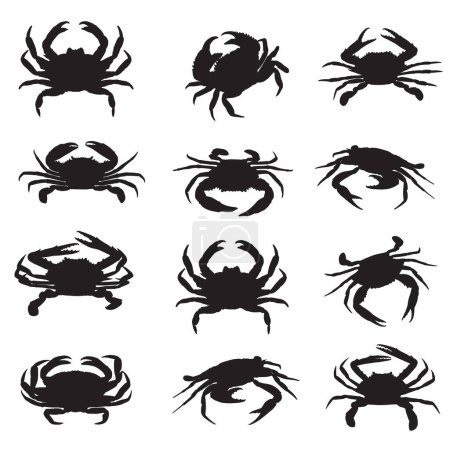 Foto de Ilustración vectorial de siluetas de cangrejo sobre fondo blanco - Imagen libre de derechos