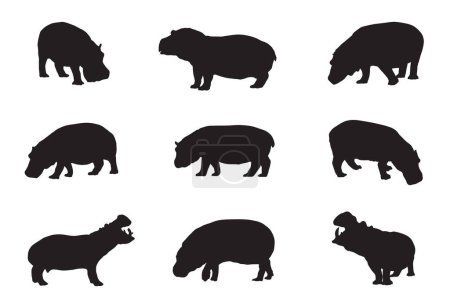 Foto de Conjunto de siluetas negras de diferentes hipopótamos - Imagen libre de derechos
