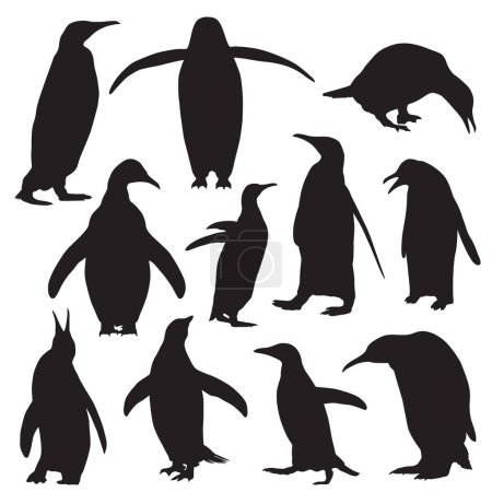 Foto de Conjunto de silueta vectorial de pingüinos sobre fondo blanco - Imagen libre de derechos