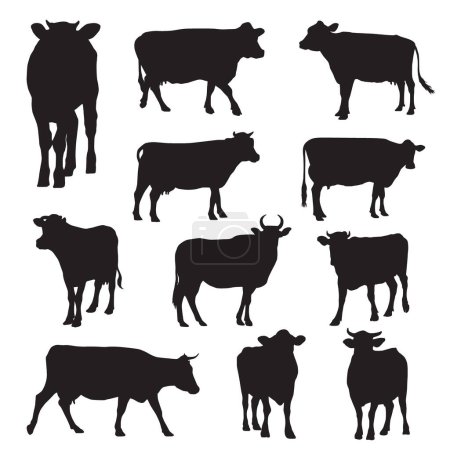 Téléchargez les illustrations : Illustration vectorielle. silhouettes de vache - en licence libre de droit