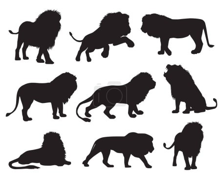 Foto de Vector conjunto de siluetas de diferentes leones - Imagen libre de derechos