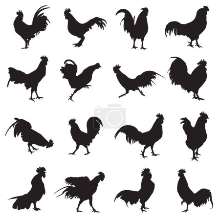 Foto de Diferentes tipos de siluetas de gallo - Imagen libre de derechos