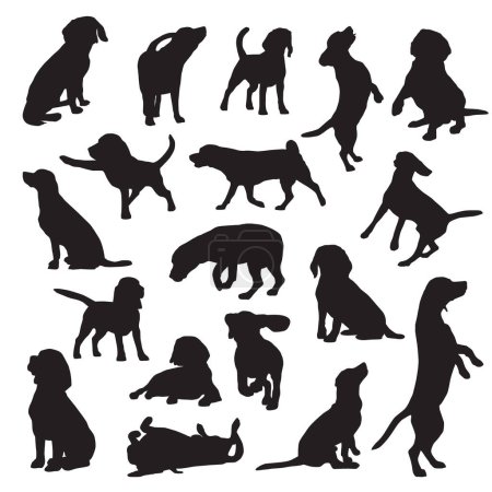 Foto de Vector conjunto de siluetas de diferentes perros beagle - Imagen libre de derechos