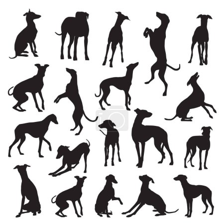 Téléchargez les illustrations : Jeu vectoriel de silhouettes de chiens de chasse gris - en licence libre de droit