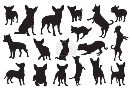 Ilustración de Vector ilustración de siluetas de perro chihuahua - Imagen libre de derechos
