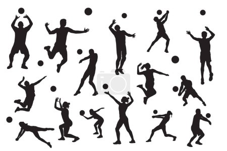 Illustration for Silhouettes silhouette of a volleyball player on a white background. - Royalty Free Image