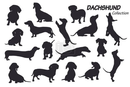 Foto de Juego de siluetas negras de perros duchshund, ilustración vectorial - Imagen libre de derechos