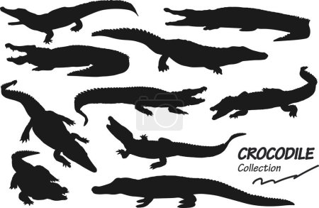 Foto de Conjunto de siluetas negras de cocodrilo, ilustración vectorial - Imagen libre de derechos