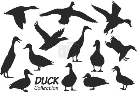 Foto de Silueta de un pato, pájaros, animales, animales salvajes. imagen vectorial de una silueta negra. - Imagen libre de derechos